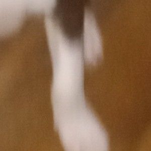 Meet your Posher, Nevaeh